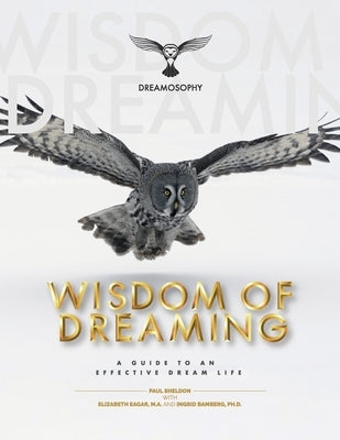 Wisdom of Dreaming: A Guide to an Effective Dream Life by Sheldon, Paul M.