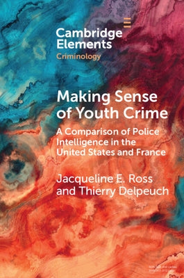 Making Sense of Youth Crime Paperback Cambridge University Press