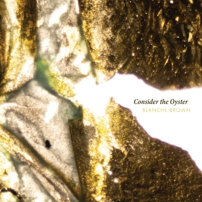 Consider the Oyster Paperback New Michigan Press
