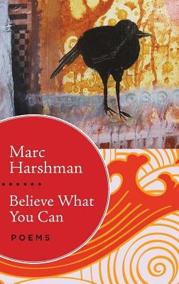 Believe What You Can: Poems Paperback Vandalia Press