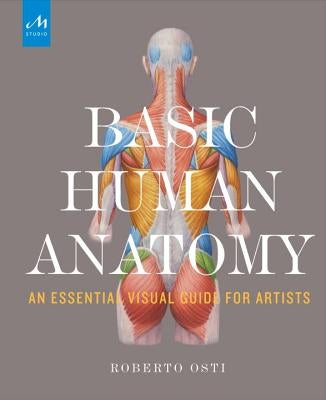 Basic Human Anatomy: An Essential Visual Guide for Artists by Osti, Roberto