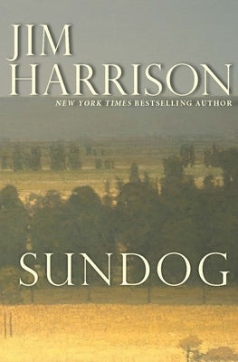 Sundog book by Grove Press with colorful cover featuring an abstract sunset scene and bold typography.