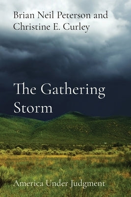 The Gathering Storm: America Under Judgment Paperback Brian Neil Peterson