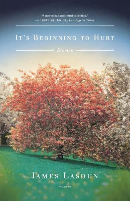 It's Beginning to Hurt Paperback St. Martins Press-3PL