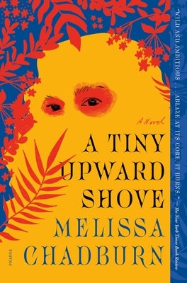 A Tiny Upward Shove Paperback Picador USA