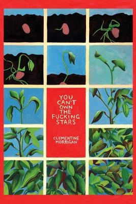 You Can't Own the Fucking Stars: Collected Writings on Trauma, Addiction, Recovery, and Transformation by Morrigan, Clementine