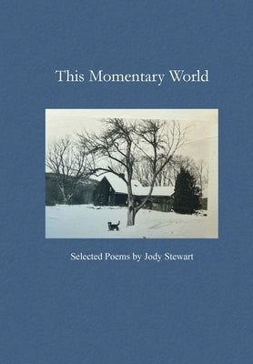 This Momentary World Paperback Nine Mile Art Corp