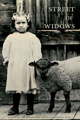 Street of Widows Paperback Green Writers Press