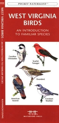 New Mexico Birds: A Folding Pocket Guide to Familiar Species by Kavanagh, James