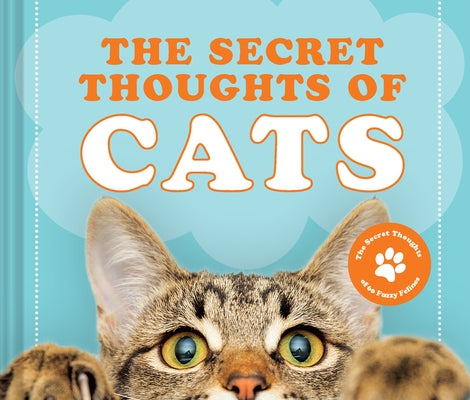 The Secret Thoughts of Cats: Volume 1 by Rose, Cj