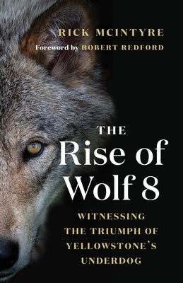 Paperback book titled "The Rise of Wolf 8: Witnessing the Triumph of Yellowstone's Underdog" by Greystone Books, featuring a wolf on the cover.