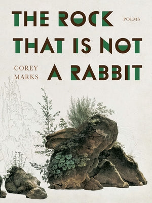 The Rock That Is Not a Rabbit: Poems Paperback University of Pittsburgh Press
