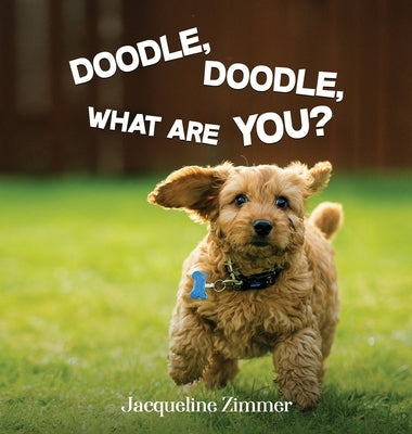 Doodle, Doodle, What Are You? by Zimmer, Jacqueline