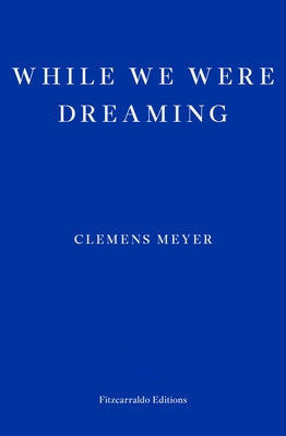 While We Were Dreaming by Meyer, Clemens