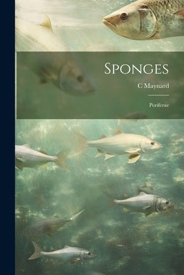 Sponges; Poriferae by Maynard, C.