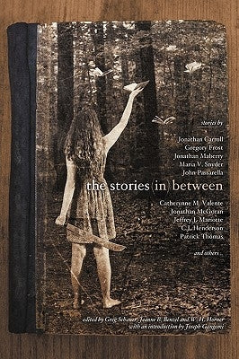 The Stories in Between: A Between Books Anthology by Schauer, Greg