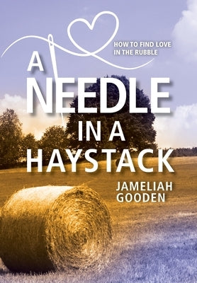A Needle in a Haystack: How to Find Love in the Rubble by Gooden, Jameliah