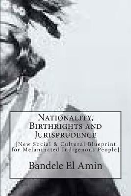 Nationality, Birthrights and Jurisprudence: New Social & Cultural Blueprint for Melaninated Indigenous People by Amin, Bandele El