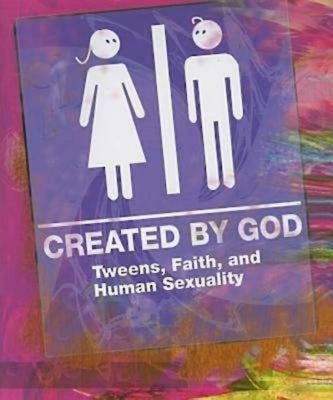 Created by God: Tweens, Faith, and Human Sexuality Paperback Abingdon Press