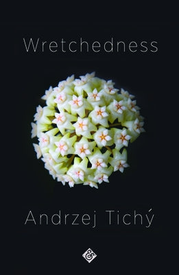 Wretchedness Paperback And Other Stories