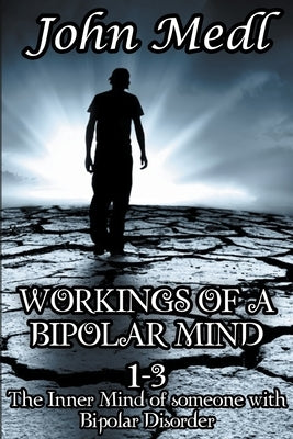 Workings of A Bipolar Mind 1-3 Omnibus: The Inner Mind of Someone With Bipolar Disorder Paperback Mental Health Matters