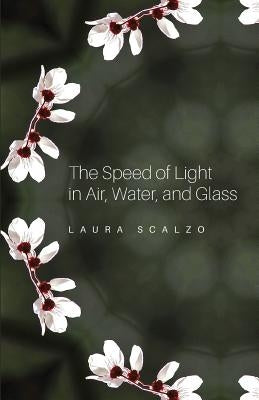 The Speed of Light in Air, Water, and Glass Paperback One One Two Press