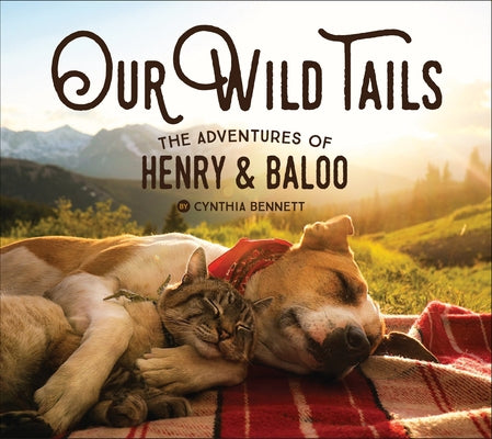 Our Wild Tails: The Adventures of Henry and Baloo by Bennett, Cynthia