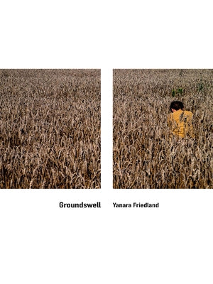 Groundswell by Friedland, Yanara