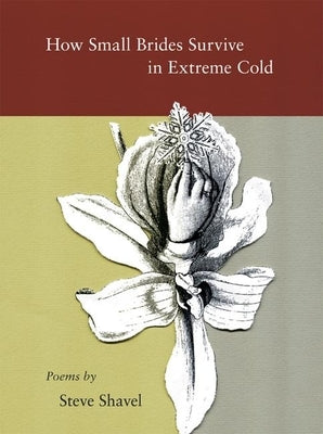 How Small Brides Survive in Extreme Cold Paperback Wave Books