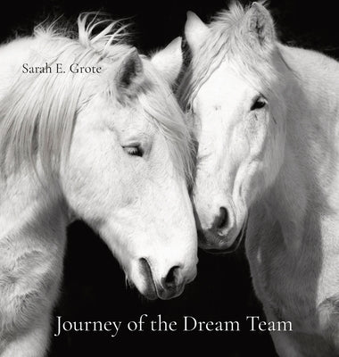 Journey of the Dream Team by Grote, Sarah E.