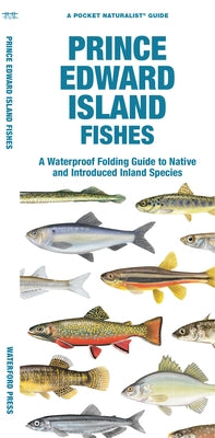 Prince Edward Island Fishes: A Waterproof Folding Guide to Native and Introduced Freshwater Species Paperback Waterford Press