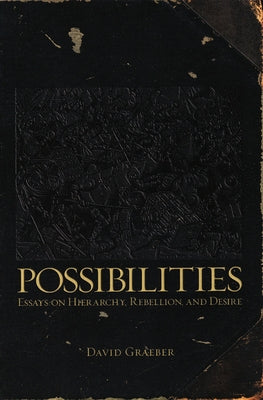 Possibilities: Essays on Hierarchy, Rebellion, and Desire Paperback AK Press