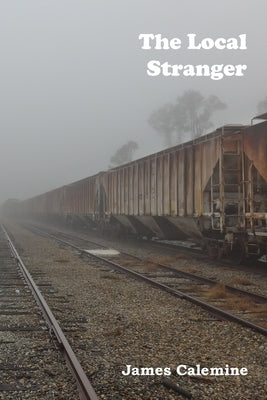 The Local Stranger: Short Stories Paperback Snake Nation Press, Inc.