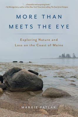 More Than Meets the Eye: Exploring Nature and Loss on the Coast of Maine Down East Books