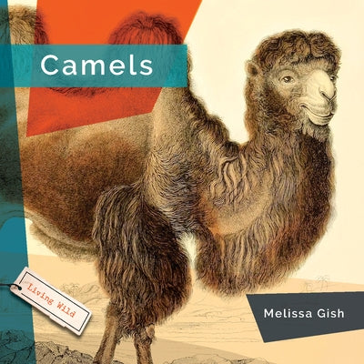 Camels by Gish, Melissa