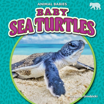 Baby Sea Turtles by Grodzicki, Jenna
