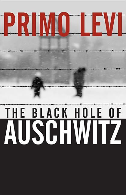 The Black Hole of Auschwitz Paperback Polity Press