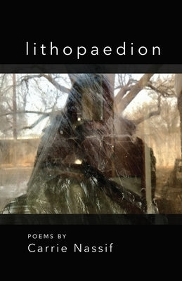 lithopaedion Paperback Finishing Line Press