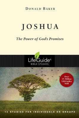 Joshua: The Power of God's Promise Paperback IVP Bible Studies