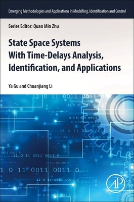 State Space Systems with Time-Delays Analysis, Identification, and Applications Paperback Academic Press
