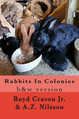 Rabbits In Colonies: Grayscale by Nilsson, A. Z.