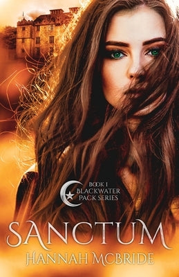 Sanctum Paperback Hannah McBride