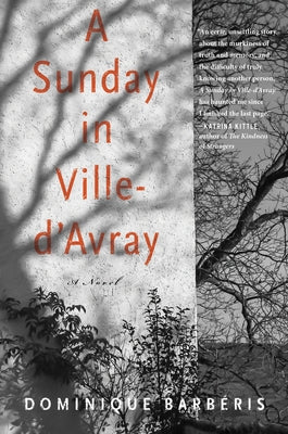 A Sunday in Ville-d'Avray by Barbéris, Dominique