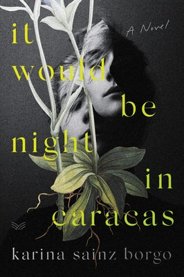 It Would Be Night in Caracas by Borgo, Karina Sainz