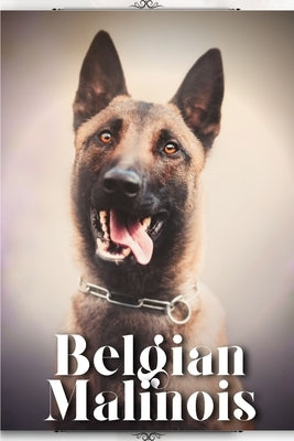 Belgian Malinois: Dog breed overview and guide by Pustova, Nina