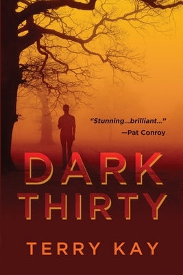 Dark Thirty by Kay, Terry