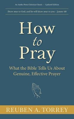 How to Pray: What the Bible Tells Us About Genuine, Effective Prayer Paperback Aneko Press