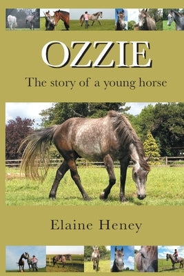 Ozzie - The story of a young horse by Heney, Elaine