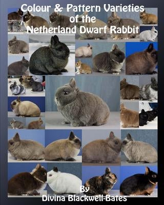 Colour & Pattern Varieties of the Netherland Dwarf Rabbit by Blackwell-Bates, Divina