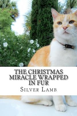 The Christmas Miracle Wrapped in Fur: Mr. Scruffy Pants Has an Adventure Paperback Createspace Independent Publishing Platform